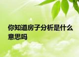 你知道房子分析是什么意思吗