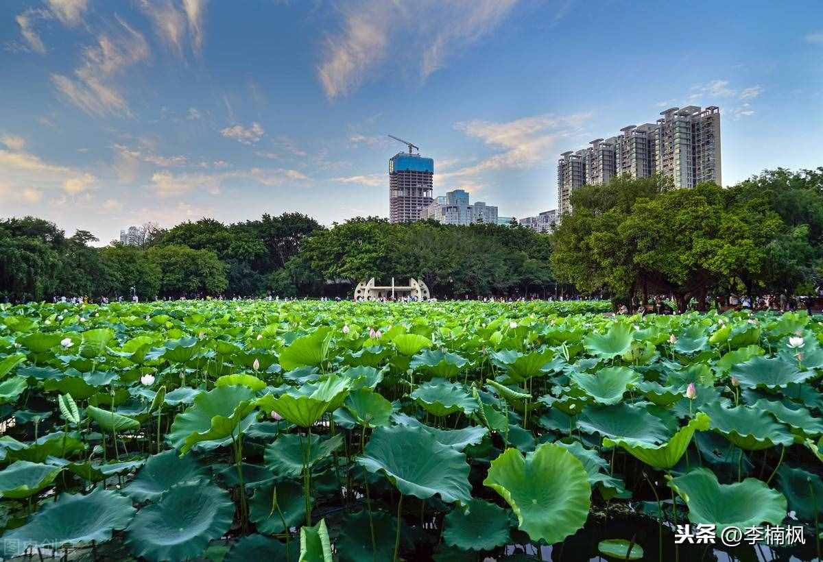 千湖之省的湖北，到底有哪些主要湖泊？
