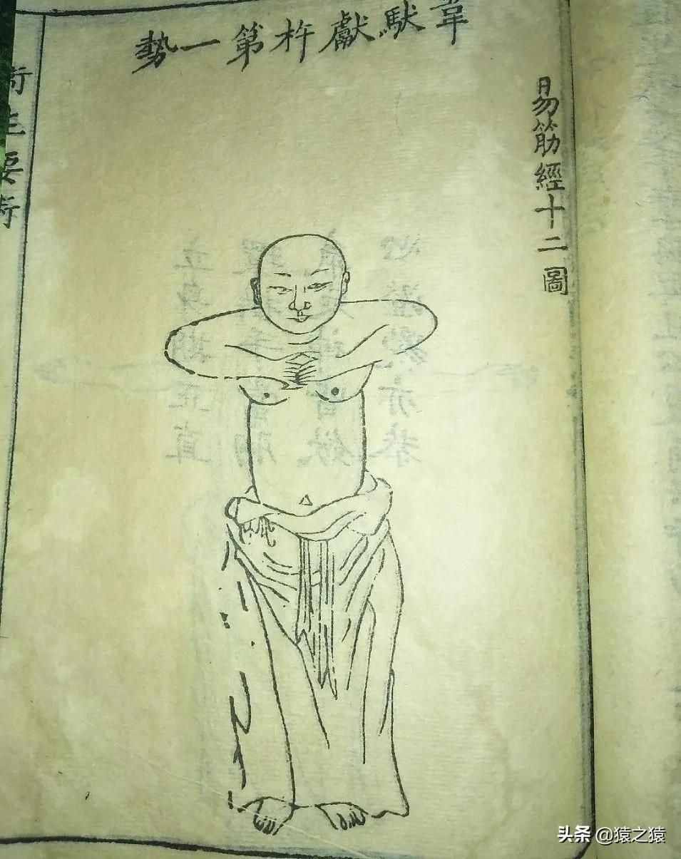 易筋经的秘密：十二经筋练法