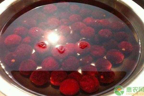 杨梅有虫子怎么办？三个方法让你快速泡出杨梅虫