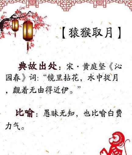 猴年怎能不知道这些与猴有关的成语呢，默默的背下来吧