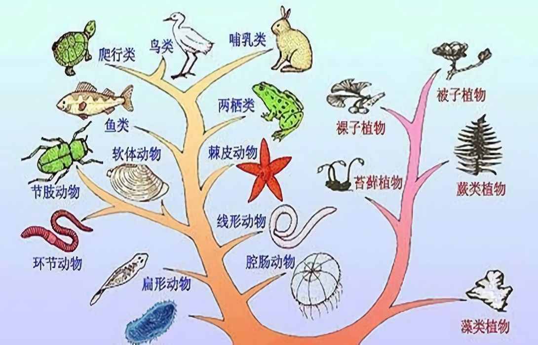2 岩石圈物质循环与地质地貌形成过程