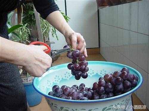 自制红葡萄酒的酿制方法