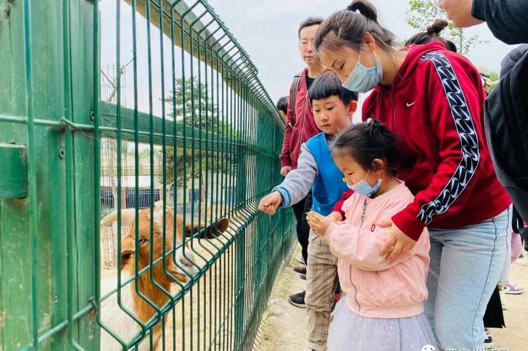 西安世博园观景、游玩全攻略来了！