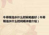 牛蒡根泡水什么时候喝最好（牛蒡根泡水什么时间喝详细介绍）