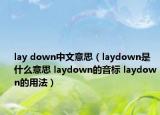 lay down中文意思（laydown是什么意思 laydown的音标 laydown的用法）