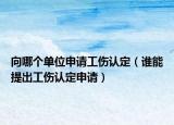 向哪个单位申请工伤认定（谁能提出工伤认定申请）