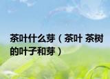 茶叶什么芽（茶叶 茶树的叶子和芽）