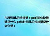 PS里羽化的快捷键（ps的羽化快捷键是什么 ps软件羽化的快捷键是什么介绍）