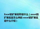 Excel的扩展名称是什么（excel的扩展名是怎么样的 excel的扩展名是什么介绍）