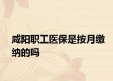咸阳职工医保是按月缴纳的吗