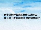 有十进制计数法还有什么计数法（什么是十进制计数法 举数字的例子）