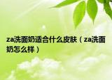 za洗面奶适合什么皮肤（za洗面奶怎么样）