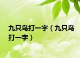 九只鸟打一字（九只鸟打一字）