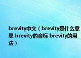 brevity中文（brevity是什么意思 brevity的音标 brevity的用法）