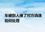 车被别人撞了对方逃逸如何处理