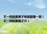 不一样的美男子电视剧第一部（不一样的美男子Ⅱ）