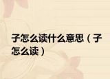 子怎么读什么意思（子怎么读）