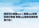 哪里可以举报app（举报app在哪里进行举报 举报app能够在哪里举报介绍）