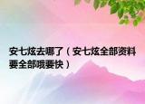安七炫去哪了（安七炫全部资料要全部哦要快）