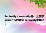 Seniority（seniority是什么意思 seniority的音标 seniority的用法）