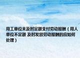 用工单位未及时足额支付劳动报酬（用人单位不足额 及时发放劳动报酬的应如何处理）