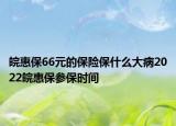 皖惠保66元的保险保什么大病2022皖惠保参保时间