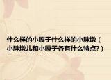 什么样的小嘎子什么样的小胖墩（小胖墩儿和小嘎子各有什么特点?）