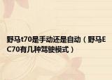 野马t70是手动还是自动（野马EC70有几种驾驶模式）