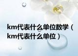 km代表什么单位数学（km代表什么单位）