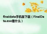 finaldata手机版下载（FinalData.exe是什么）