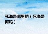 死海是哪里的（死海是海吗）