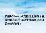 技嘉h61m-ds2支持什么内存（主板技嘉h61m-ds2支持两条DDR4的8G内存吗）