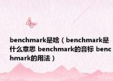 benchmark是啥（benchmark是什么意思 benchmark的音标 benchmark的用法）