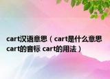 cart汉语意思（cart是什么意思 cart的音标 cart的用法）