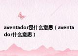 aventador是什么意思（aventador什么意思）