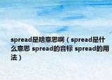 spread是啥意思啊（spread是什么意思 spread的音标 spread的用法）
