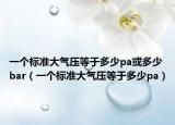 一个标准大气压等于多少pa或多少bar（一个标准大气压等于多少pa）