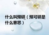 什么叫预研（预可研是什么意思）