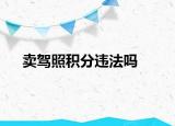 卖驾照积分违法吗
