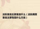 法医鉴定主要鉴定什么（法医病理鉴定主要包括什么方面）