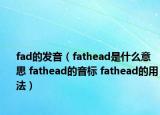 fad的发音（fathead是什么意思 fathead的音标 fathead的用法）