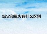 纵火和纵火有什么区别