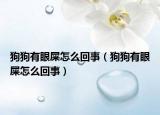 狗狗有眼屎怎么回事（狗狗有眼屎怎么回事）
