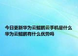 今日更新华为云鲲鹏云手机是什么华为云鲲鹏有什么优势吗