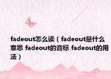 fadeout怎么读（fadeout是什么意思 fadeout的音标 fadeout的用法）