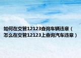 如何在交管12123查询车辆违章（怎么在交管12123上查询汽车违章）