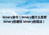 binary命令（binary是什么意思 binary的音标 binary的用法）