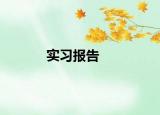 实习报告