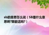 sb的意思怎么说（SB是什么意思啊?算脏话吗?）